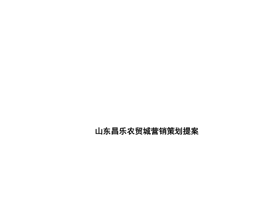 山东昌乐农贸城营销推广策划提案30页_第1页