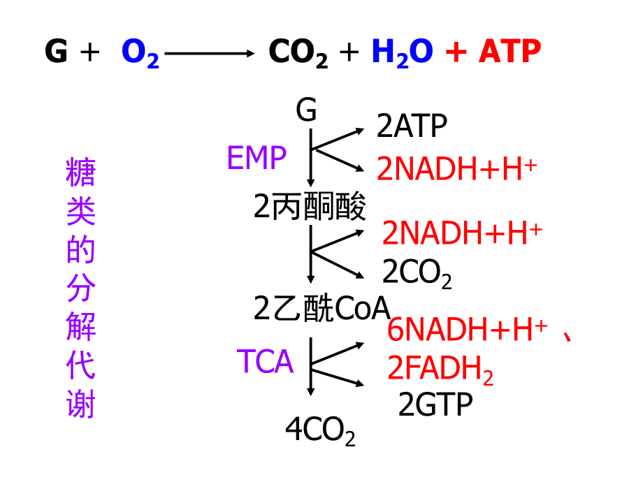 基礎(chǔ)生物化學：第五章 生物氧化 2014_第1頁