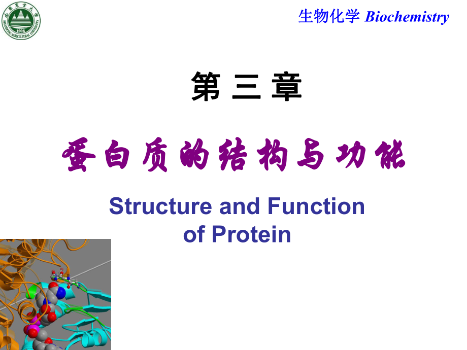 生物化學：Chapter 3 蛋白質的結構與功能_第1頁