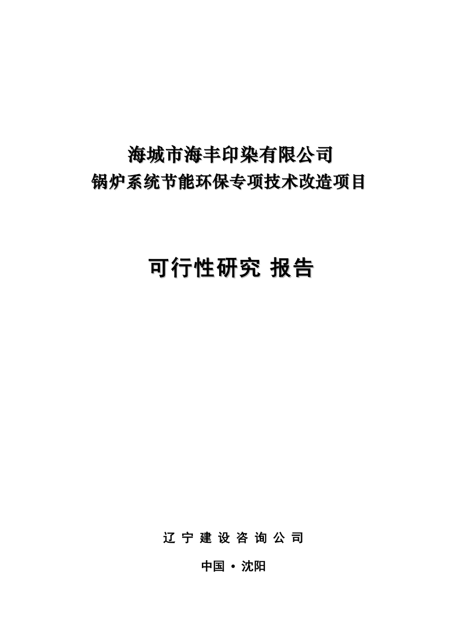印染有限公司锅炉系统节能环保专项技术改造项目可行性研究报告_第1页