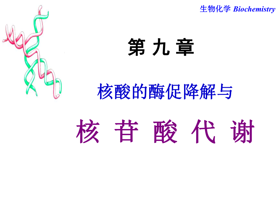 生物化學：第九章 核苷酸代謝_第1頁