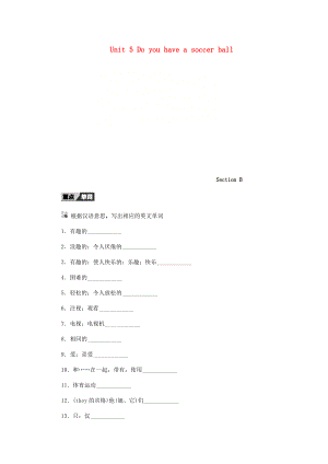 七年級(jí)英語(yǔ)上冊(cè) Unit 5 Do you have a soccer ball Section B聽寫本 新版人教新目標(biāo)版