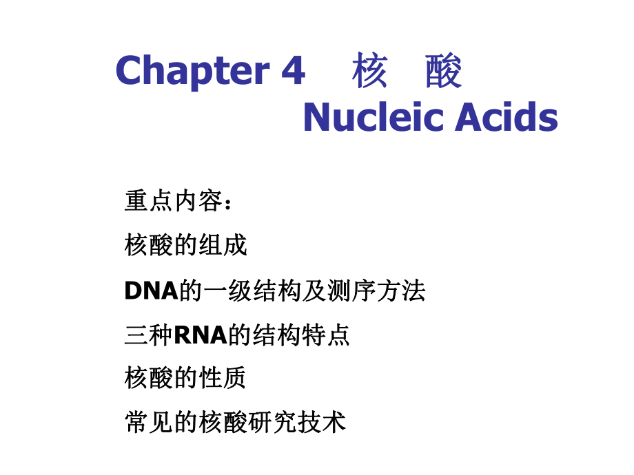 生物化學(xué)：Chapter 4 核酸_第1頁