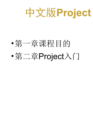 Project_2007操作指南教程