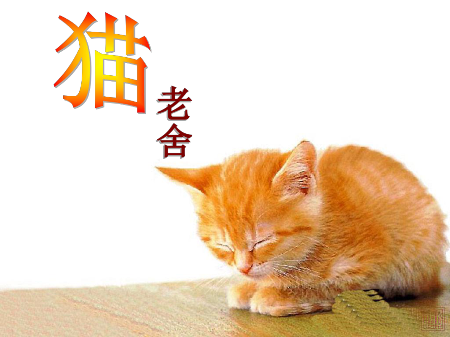 猫老舍ppt图片