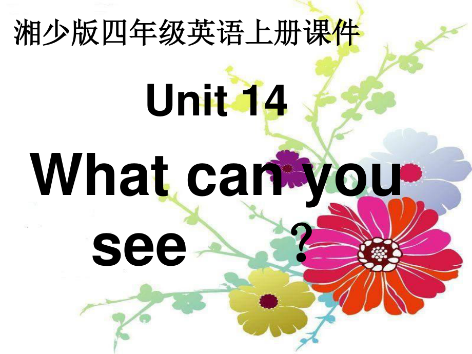 湘少版四上Unit 14 What can you seeppt課件_第1頁