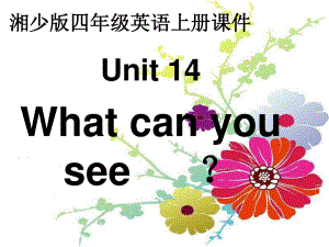 湘少版四上Unit 14 What can you seeppt課件