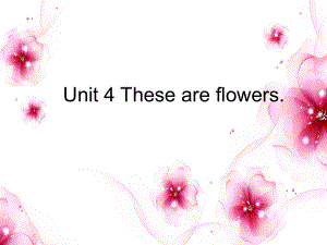 湘少版[]四上Unit 4 These are flowersppt課件1