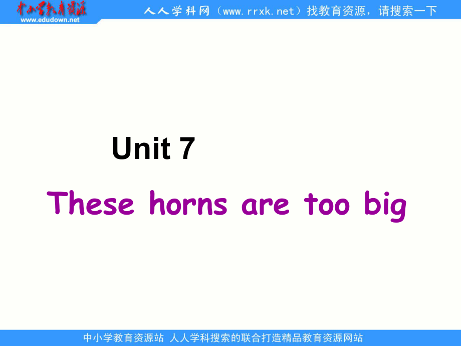 湘少版六上Unit 7 These horns are too bigppt課件_第1頁(yè)