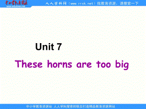 湘少版六上Unit 7 These horns are too bigppt課件