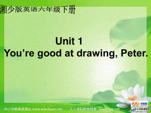 湘少版六下Unit 1 You’re good at drawing, Peterppt課件