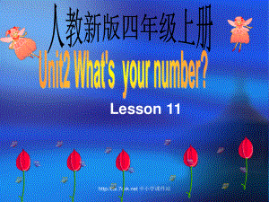 人教精通版英語四上Unit 2What’s your numberLesson 11ppt課件