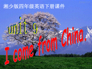 湘少版四下Unit 9 I come from Chinappt课件