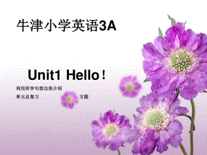 上海本地版英語(yǔ)三上Unit 1 HelloPPT課件1