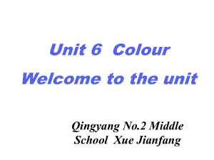 人教版新起點英語一上Uint6 ColourPPT課件9