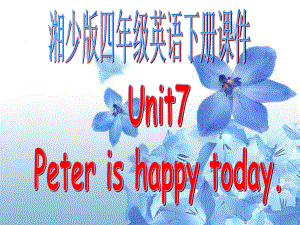 湘少版四下Unit 7 Peter is happy todayppt課件