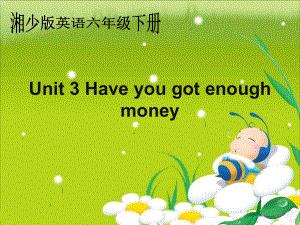 湘少版六下Unit 3 Have you got enough moneyppt課件