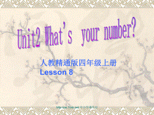 人教精通版英語四上Unit 2What’s your numberLesson 8ppt課件1