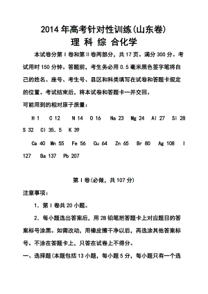 山东省济南市高三5月针对性训练化学试题及答案