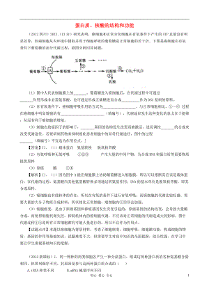 07126年高考生物真題按知識點分類匯編 蛋白質、核酸的結構和功能