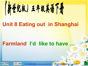 新世紀版英語五下Unit8 Eating out in ShanghaiPPT課件