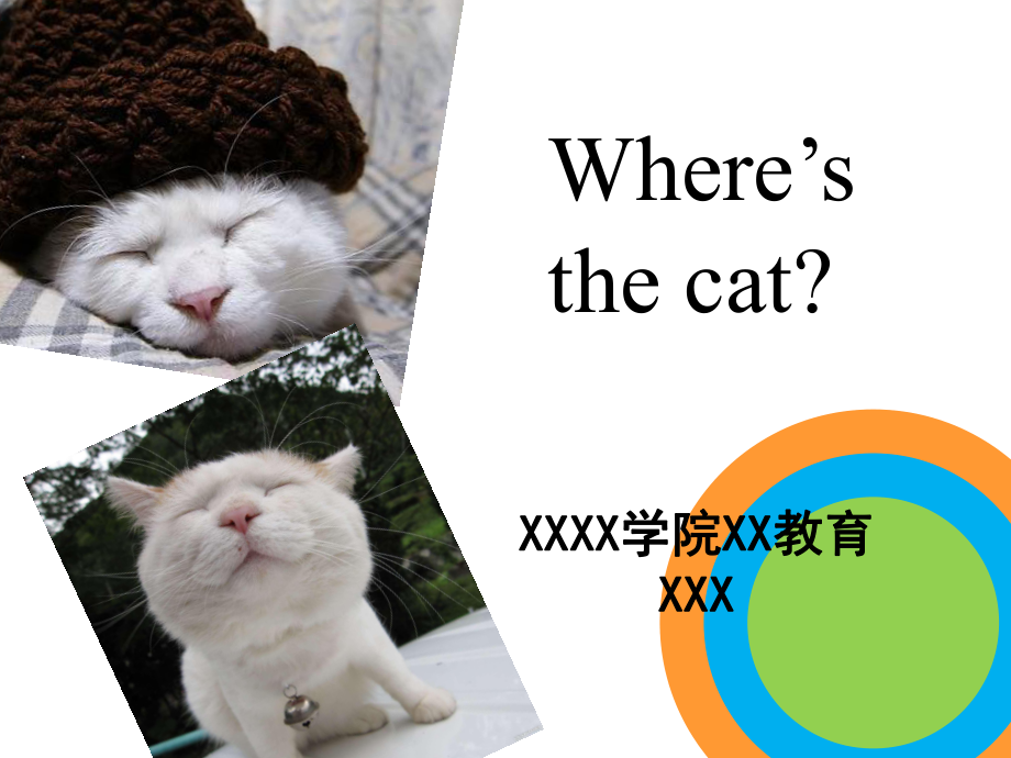 where's the cat【final】_第1页