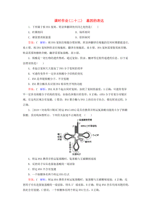 高考生物一輪復(fù)習(xí) 課時作業(yè)22 DNA的分子結(jié)構(gòu)、復(fù)制及基因的本質(zhì)