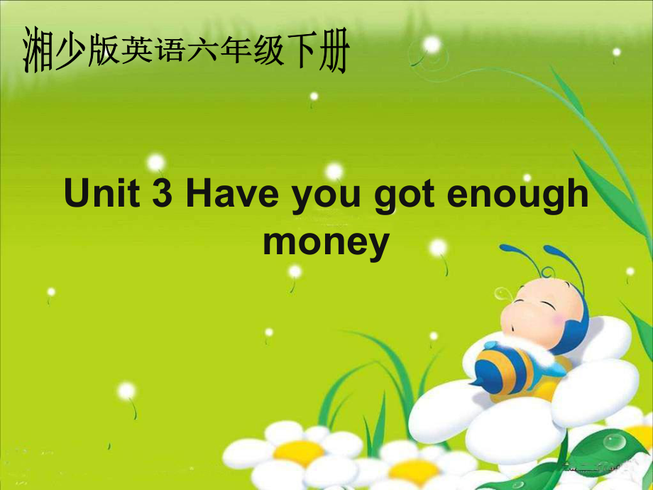 湘少版英语六下Unit3 Have you got enough moneyPPT课件_第1页