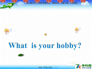 人教版精通英語六上Unit 2 What’s your hobppt課件2