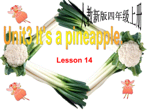 人教精通版英語(yǔ)四上Unit 3It’s a pineappleLesson 14ppt課件