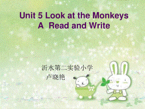 小學(xué)英語(yǔ)PEP人教版五年級(jí)下冊(cè)Look At the Monkeysppt課件2