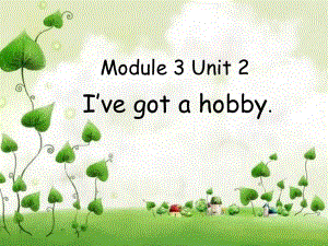 外研版(三起)六上Unit 2 I’ve got a hobppt課件3