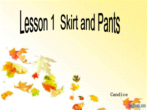 冀教版(三起)四上Lesson 1 Skirt and Pantsppt課件1