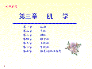 《運(yùn)動(dòng)解剖學(xué)》第6次課：肌學(xué)（PPT）