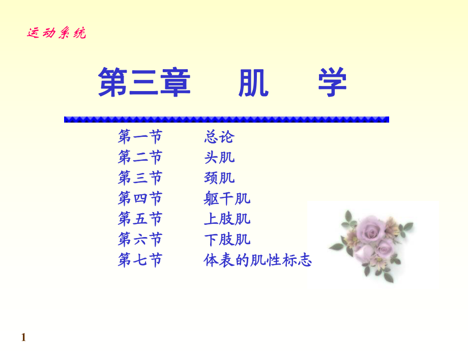 《運動解剖學》第6次課：肌學（PPT）_第1頁