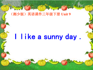 湘少版英語三下Unit9 I like a sunny dayPPT課件