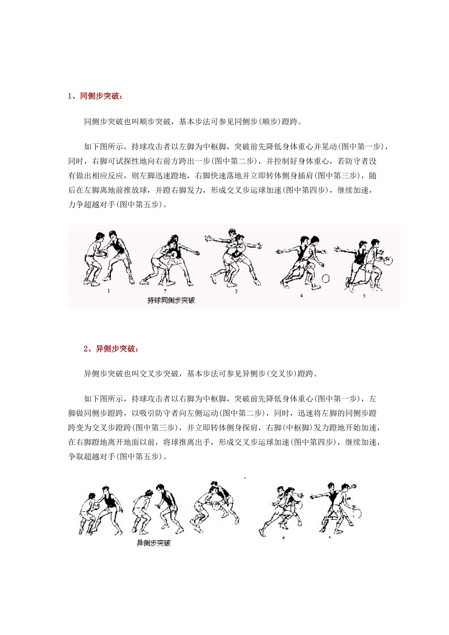 篮球知识1杨希_第1页