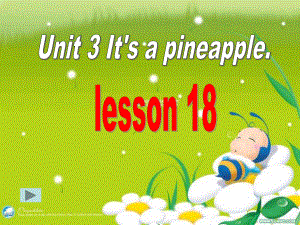 人教精通版英語四上Unit 3It’s a pineappleLesson 18ppt課件