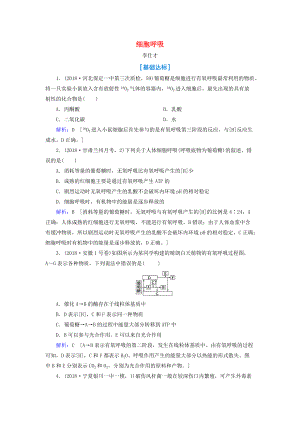 高考生物總復(fù)習(xí) 第三單元 細(xì)胞的能量供應(yīng)和利用 第9講 細(xì)胞呼吸含解析