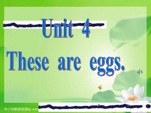 湘少版四上Unit 4 Those are eggsppt課件之一