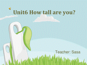 湘少版六上Unit 6 How tall are youppt課件1