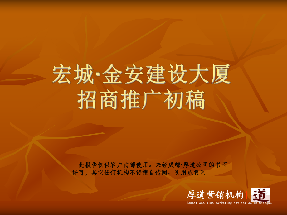 成都市宏城金安建设大厦招商推广案_第1页