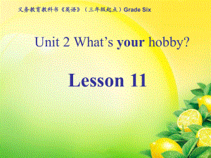 人教精通版英語六上Unit 2What’s your hobLesson 11ppt課件1