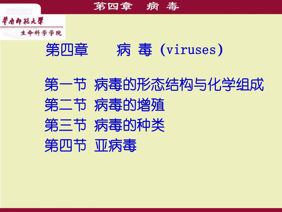 生物化學(xué)：第四章 病毒_第1頁