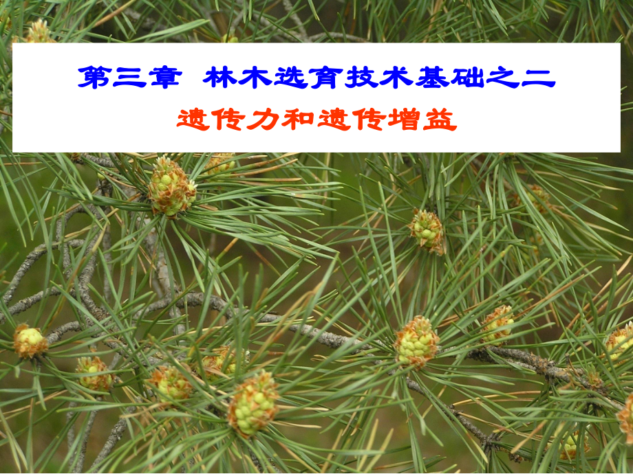 林木育種學(xué)：第三章林木選育技術(shù)基礎(chǔ)之二遺傳力和遺傳增益_第1頁