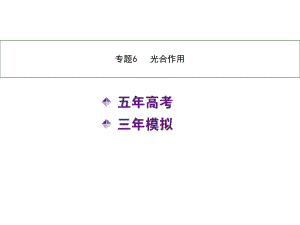 【5年高考3年模】高考生物二輪復(fù)習(xí) 專題6 光合作用課件