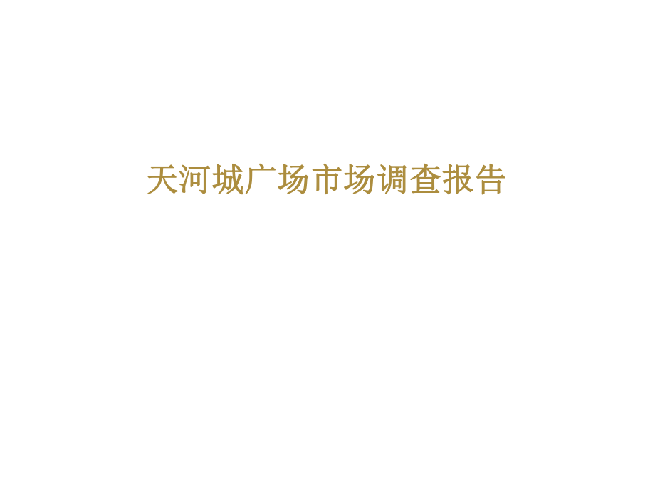 广州天河城广场市场调查报告_第1页