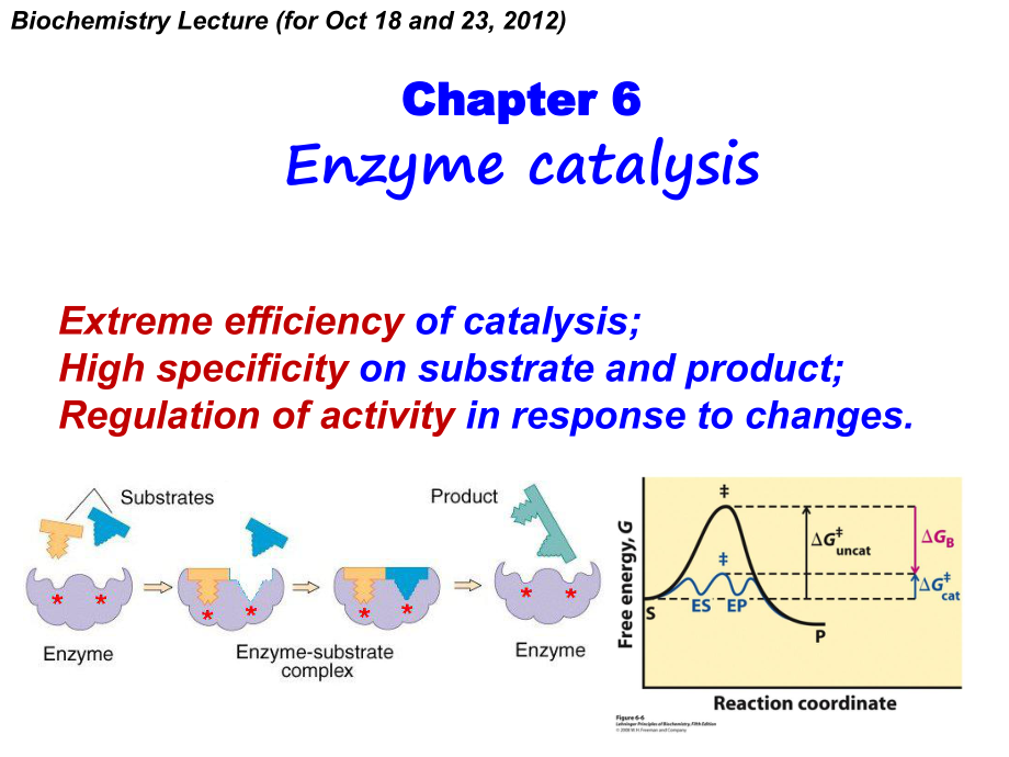 生物化學(xué)：Chapter 6Enzyme catalysis_第1頁