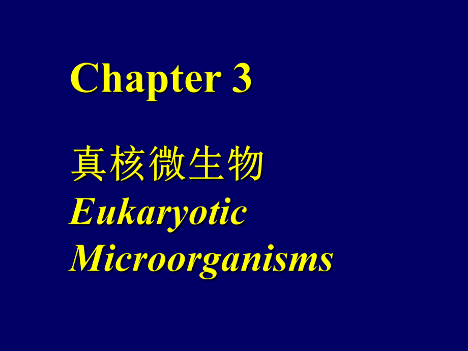 普通微生物學(xué)：第三章 真核微生物_第1頁