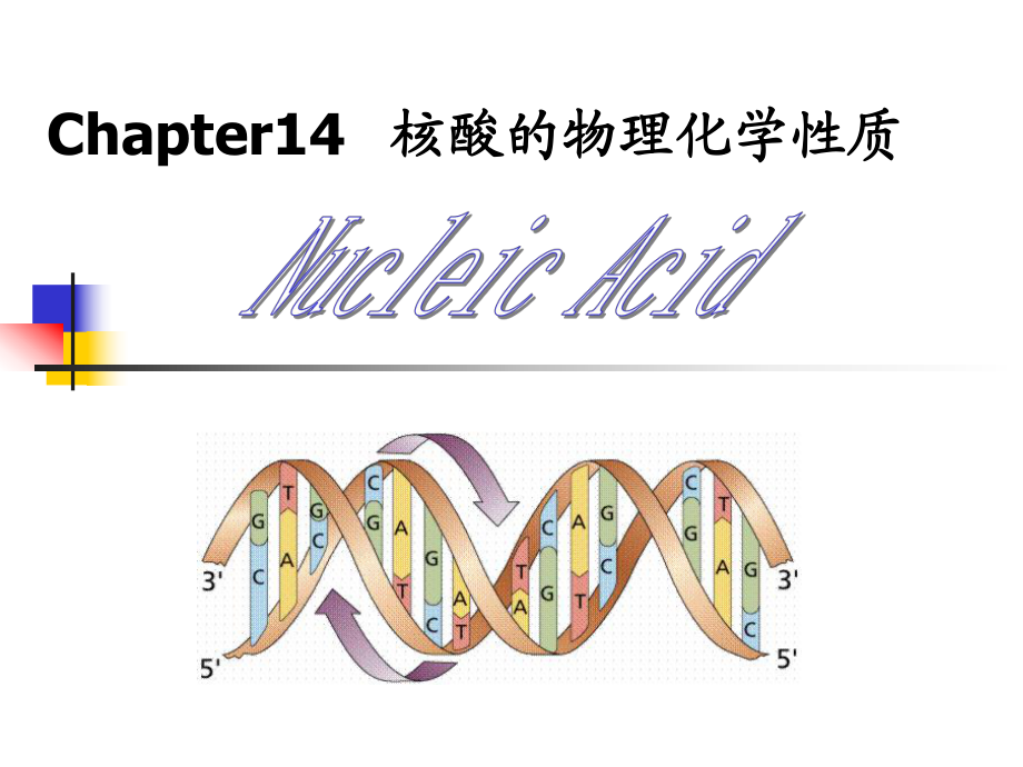 生物化学 14章 核酸物理化学性质_第1页